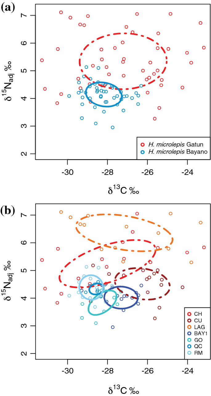 Trophic shifts in a native predator following the introduction of a top  predator in a tropical lake | SpringerLink