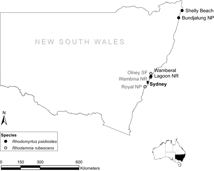 List of studied species of Hybanthus with the details of provenance