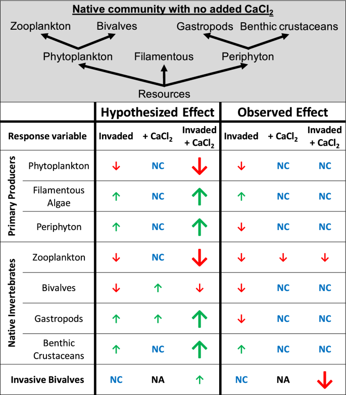 Calcium Chloride Pollution Mitigates The Negative Effects Of An Invasive Clam Springerlink
