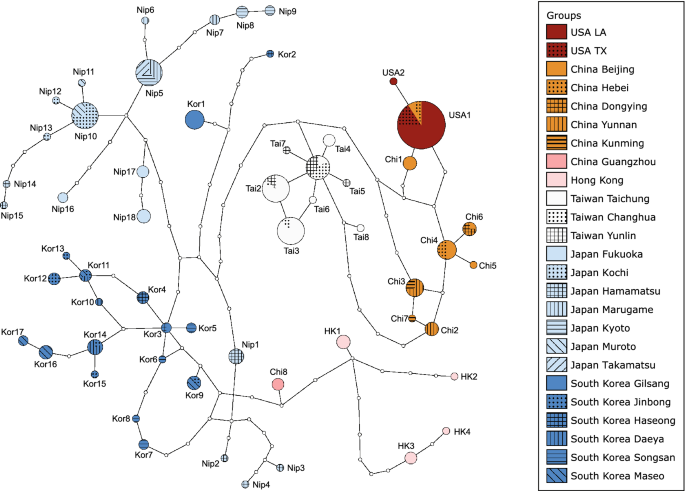 An Invasive Population Of Roseau Cane Scale In The Mississippi River Delta Usa Originated From Northeastern China Springerlink