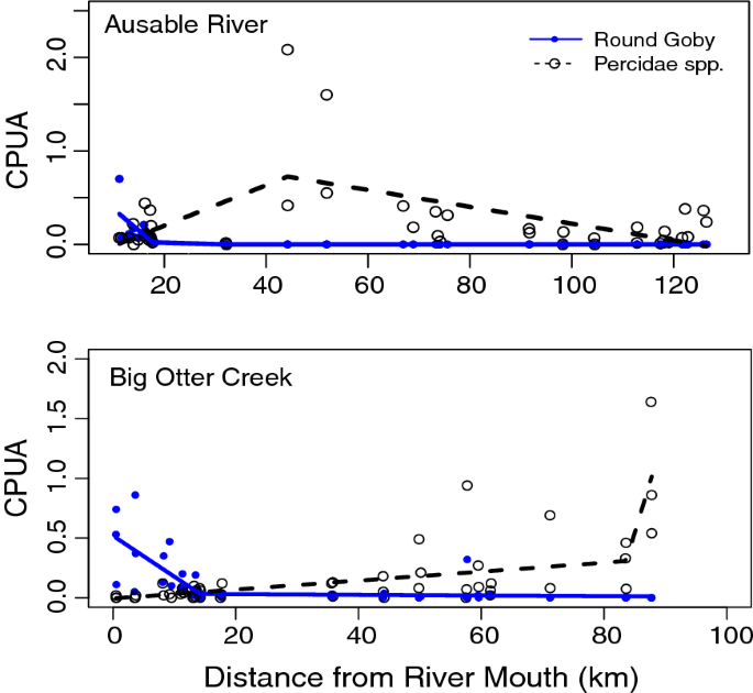 Round Goby (Neogobius melanostomus) impacts on benthic fish communities in  two tributaries of the Great Lakes