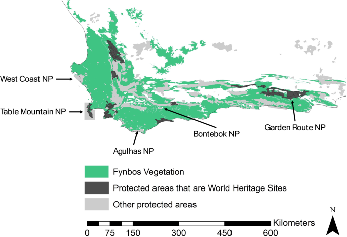 Progress towards the control of invasive alien species in the Cape ...