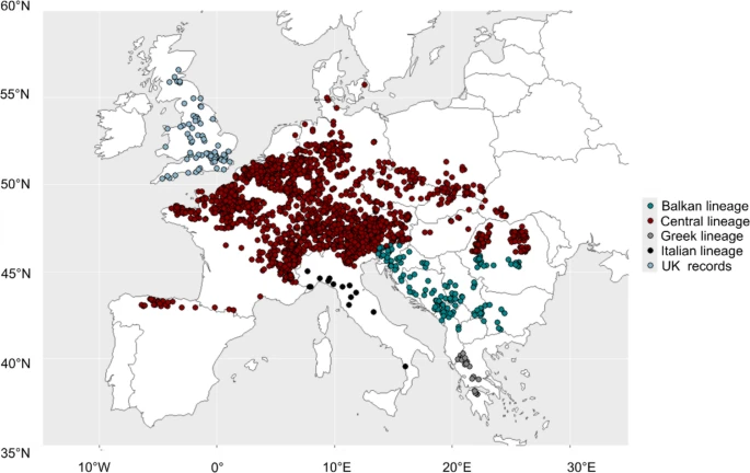 https://media.springernature.com/lw685/springer-static/image/art%3A10.1007%2Fs10530-025-03543-2/MediaObjects/10530_2025_3543_Fig1_HTML.png?as=webp