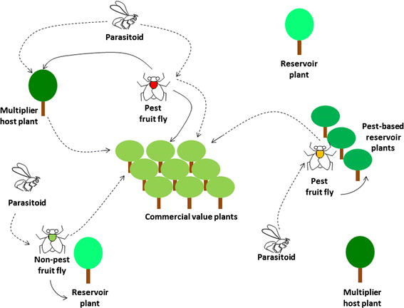 Fruit Tree Patches 2007 - An Efficient Rgb Uav Based Platform For Field Almond Tree Phenotyping 3 D Architecture And Flowering Traits Plant Methods Full Text : Fruit tree seeds can be planted within fruit tree patches only.