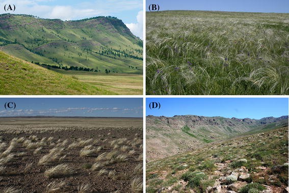 The Palaearctic steppe biome: a new synthesis | SpringerLink