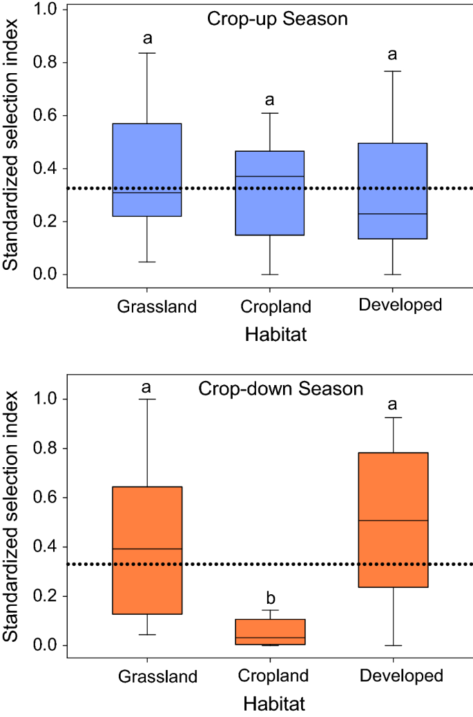 When good animals love restored habitat in bad neighborhoods: ecological traps for eastern cottontails in agricultural landscapes | SpringerLink