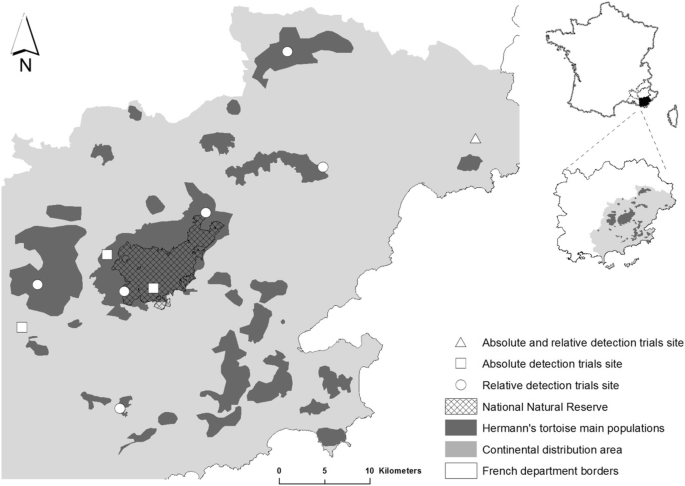 Excellent Performances Of Dogs To Detect Cryptic Tortoises In Mediterranean Scrublands Springerlink