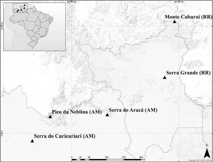 The first botanical explorations of bryophyte diversity in the Brazilian  Amazon mountains: high species diversity, low endemism, and low similarity  | SpringerLink