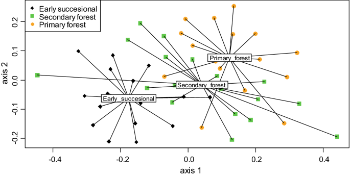Discolouring The Amazon Rainforest How Deforestation Is Affecting Butterfly Coloration Springerlink