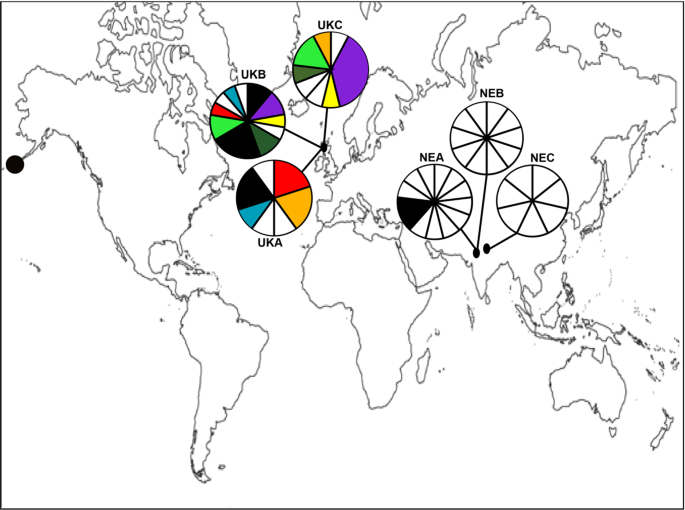 Globally Rare Oceanic Montane Liverworts With Disjunct Distributions Evidence For Long Distance Dispersal Springerlink