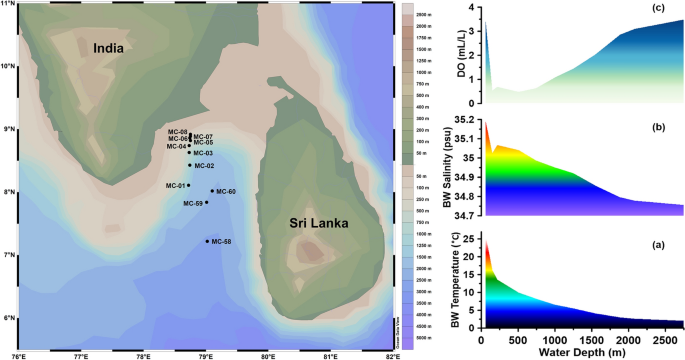 A Highly Diverse Living Benthic Foraminiferal Assemblage In The Oxygen Deficient Zone Of The Southeastern Arabian Sea Springerlink A Highly Diverse Living Benthic Foraminiferal Assemblage In The Oxygen Deficient Zone Of The Southeastern Arabian Sea Springerlink