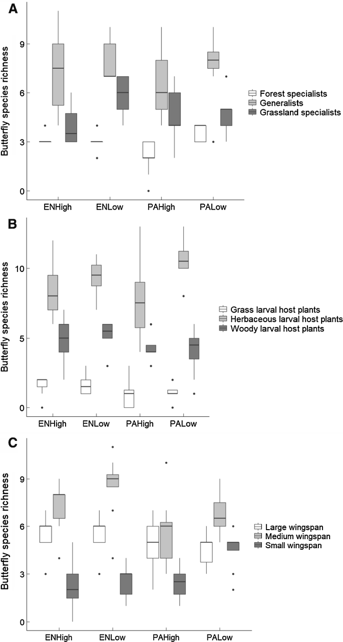 Habitat complementarity and butterfly traits are essential considerations  when mitigating the effects of exotic plantation forestry | SpringerLink