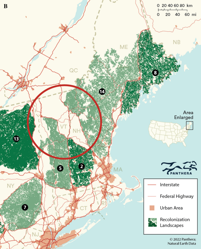 Determining puma habitat suitability in the Eastern USA | Biodiversity and  Conservation