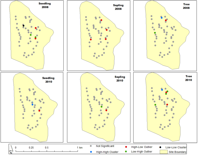 Taxonomic Reconciliation of Smilacaceae in the Indian Subcontinent