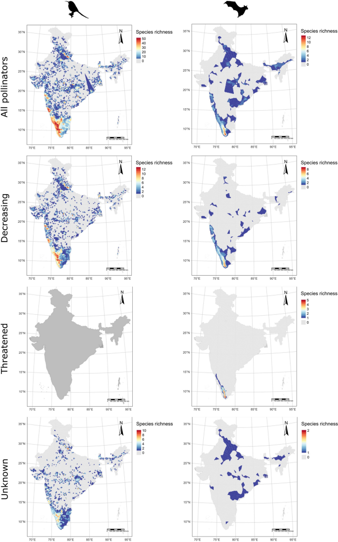 insect diversity research article figure 1