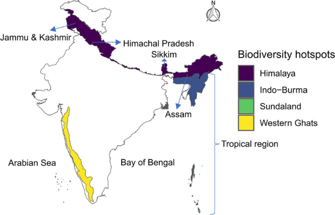 insect diversity research article figure 3