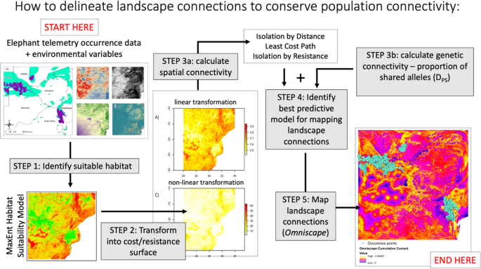 移動するゾウ:アフリカのランドスケープをつなぐ地図(Elephants on the move: Mapping connections across African landscapes)
