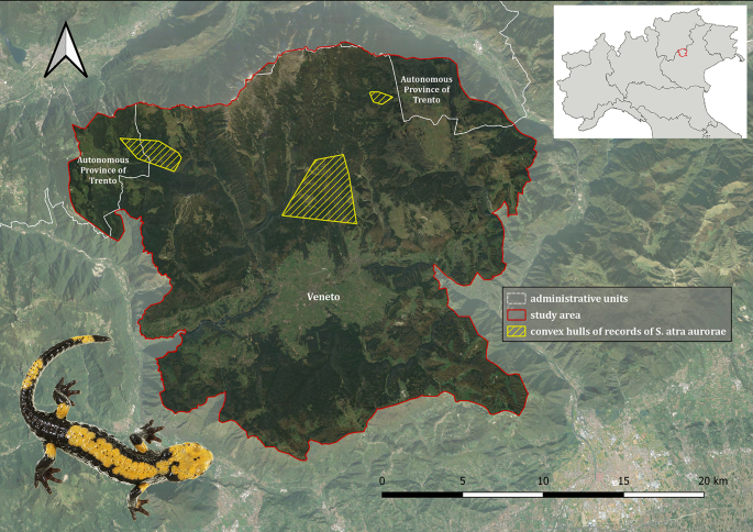 Species distribution models for the conservation of a micro-endemic ...
