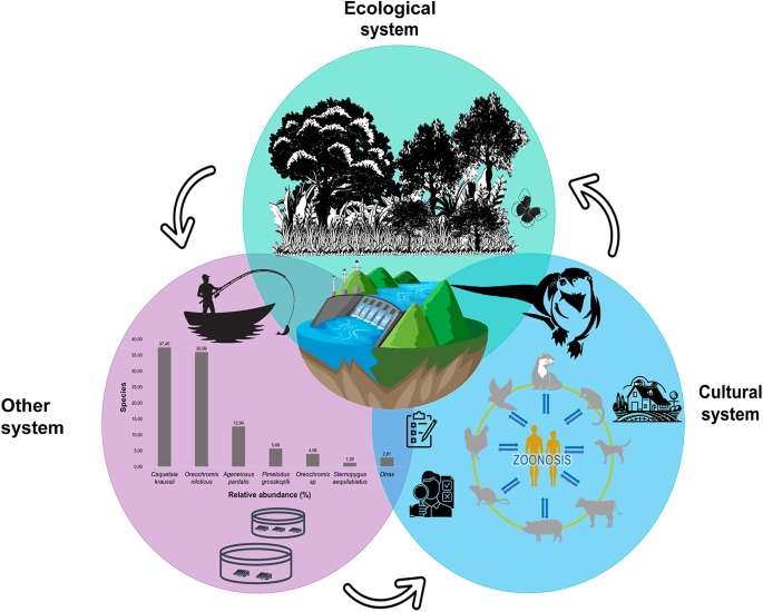 Human–otter interactions in the surroundings of a Colombian hydropower ...