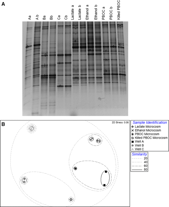 Effect Of Biostimulants On 2 4 6 Trinitrotoluene Tnt Degradation And Bacterial Community Composition In Contaminated Aquifer Sediment Enrichments Springerlink