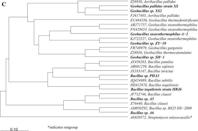 Aerobic Bacteria Degrading Both N Alkanes And Aromatic Hydrocarbons An Undervalued Strategy For Metabolic Diversity And Flexibility Springerlink