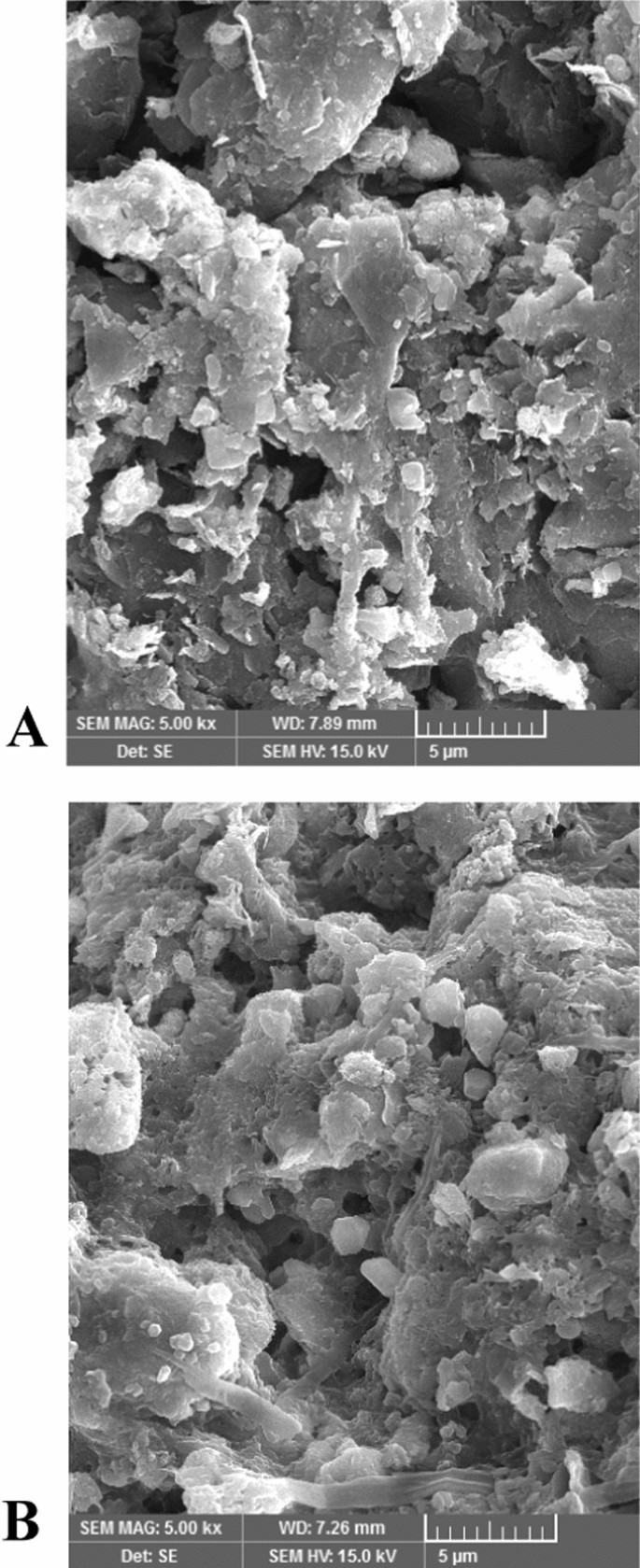 Sustainable kitchen wastewater treatment with electricity generation ...