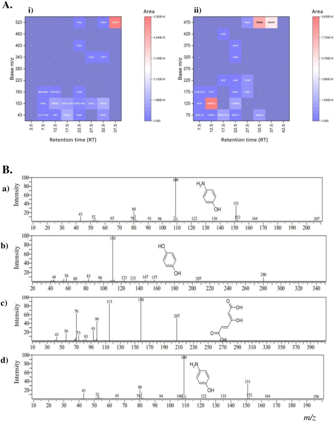 Delineating acetaminophen biodegradation kinetics and metabolomics ...