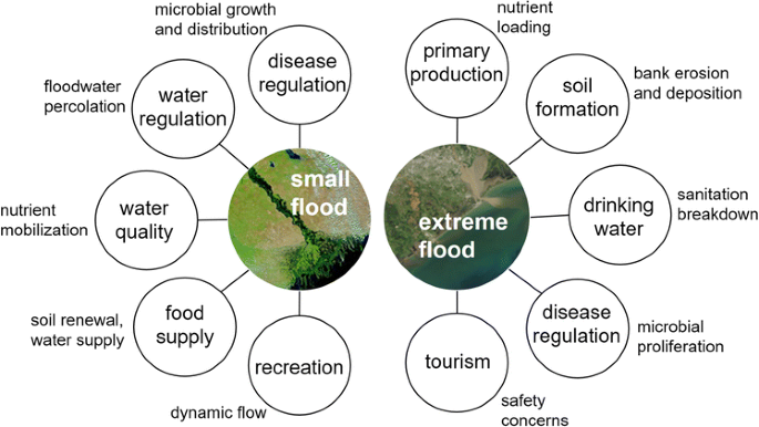 The impact of flooding on aquatic ecosystem services | SpringerLink