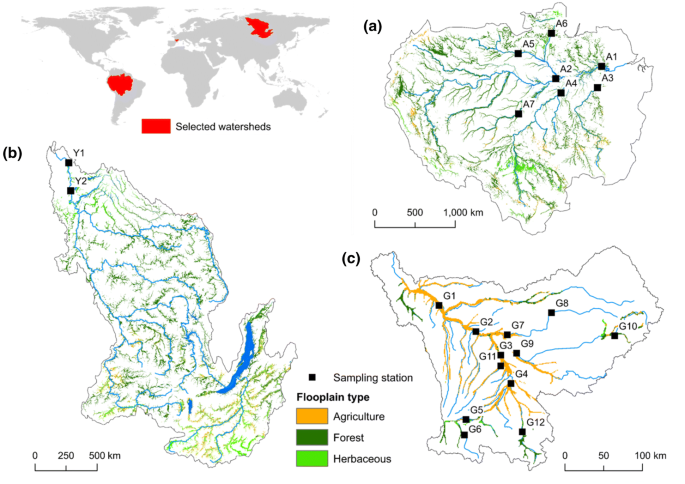 Daily denitrification rates in floodplains under contrasting pedo-climatic  and anthropogenic contexts: modelling at the watershed scale | SpringerLink
