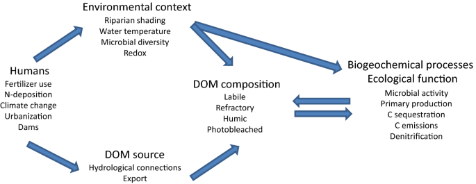 How Humans Alter Dissolved Organic Matter Composition In Freshwater Relevance For The Earth S Biogeochemistry Springerlink How Humans Alter Dissolved Organic Matter Composition In Freshwater Relevance For The Earth S Biogeochemistry Springerlink