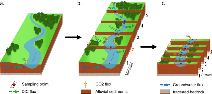 CO2 evasion along streams driven by groundwater inputs and geomorphic  controls