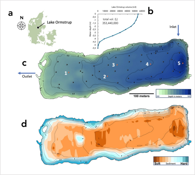 The mobility and release dynamics of sediment phosphorus in a shallow ...