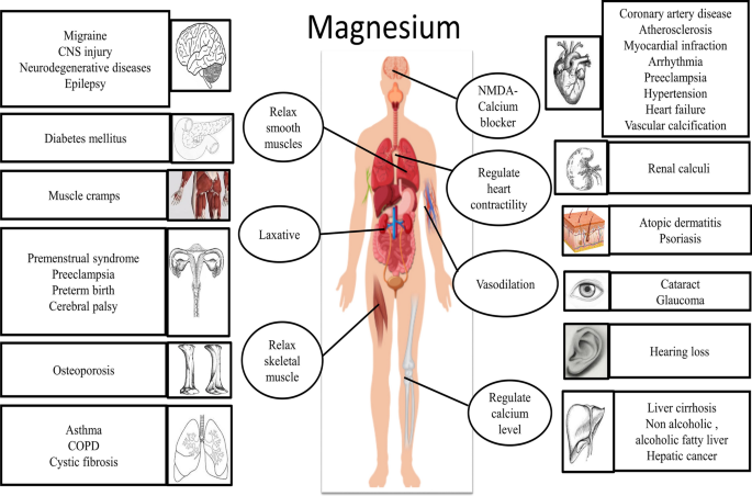 Magnesium'-the master cation-as a drug—possibilities and evidences |  SpringerLink