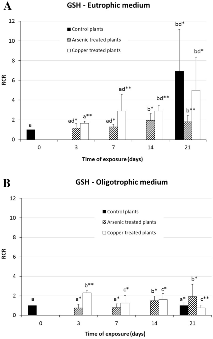 Are cysteine, glutathione and phytochelatins responses of Myriophyllum  alterniflorum to copper and arsenic stress affected by trophic conditions?  | BioMetals | Springer Nature Link