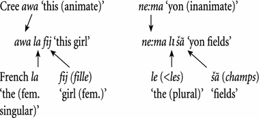 Did Language Evolve In Multilingual Settings Springerlink