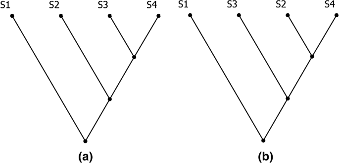 Dynamic Homology And Circularity In Cladistic Analysis Springerlink Dynamic Homology And Circularity In Cladistic Analysis Springerlink