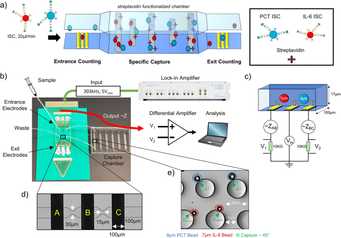 Simultaneous electrical detection of IL-6 and PCT using a microfluidic  biochip platform | SpringerLink