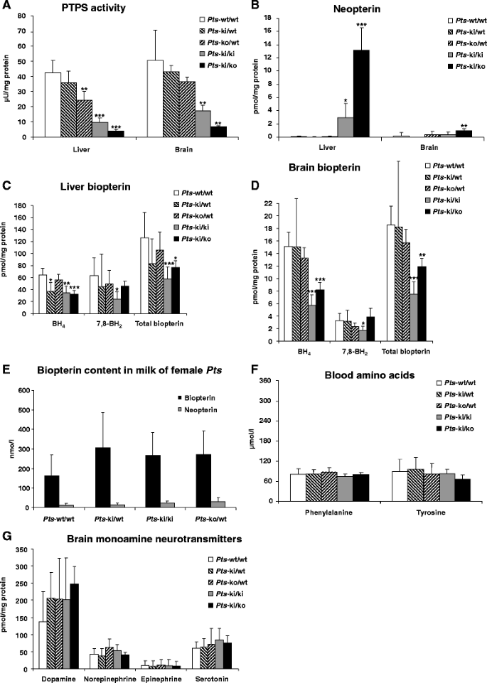 Mildly Compromised Tetrahydrobiopterin Cofactor Biosynthesis Due To Pts Variants Leads To Unusual Body Fat Distribution And Abdominal Obesity In Mice Springerlink