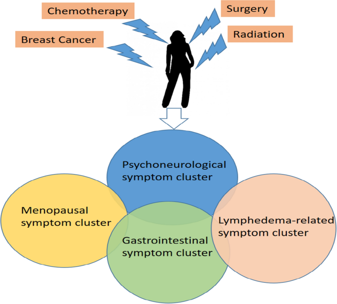Psychoneurological Symptom Cluster In Breast Cancer The Role Of Inflammation And Diet Springerlink