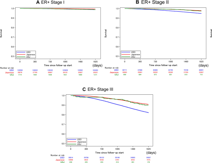 Breast Cancer Survival Among Japanese Individuals And Us Residents Of Japanese And Other Origins A Comparative Registry Based Study Springerlink