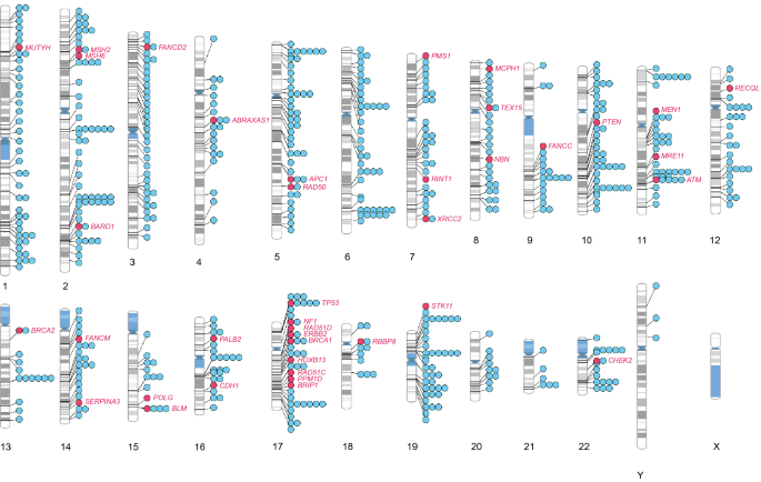 research breast cancer gene figure 3