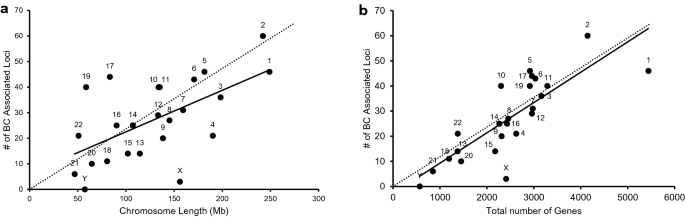 research breast cancer gene figure 4