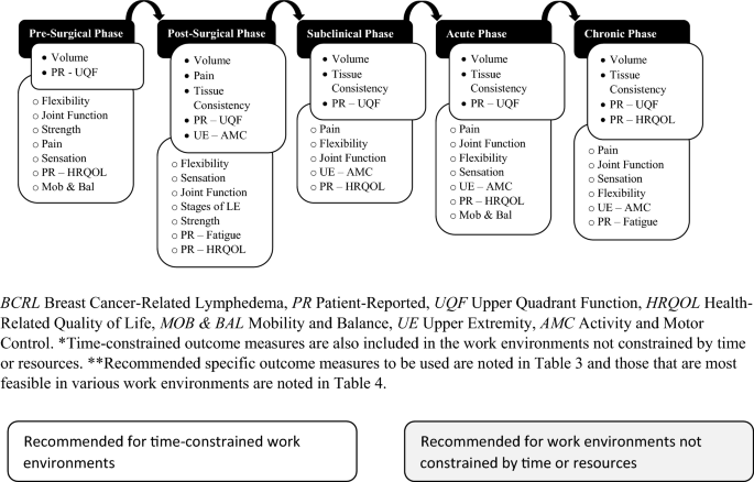 Development of a core set of outcome measures to be applied toward breast cancer-related ...