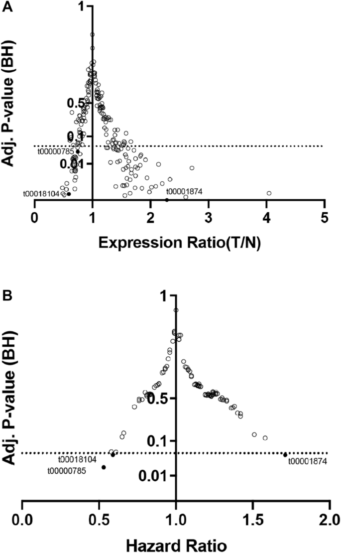 Mitochondrial tRNA fragment, mt-tRF-Tyr-GTA-001 (tRF-21-X3OJI8EWB), in ...