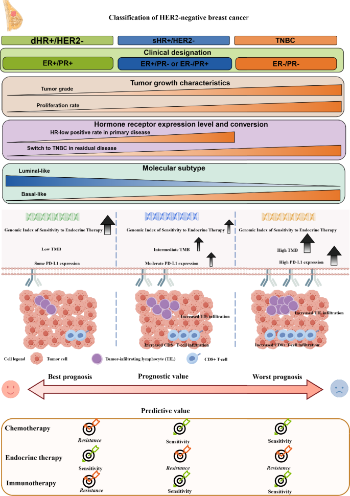 Pathological complete response and survival outcomes in single hormone ...
