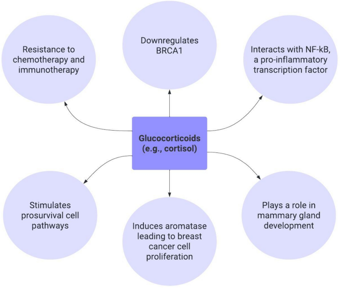 Mechanisms of stress-attributed breast cancer incidence and progression ...