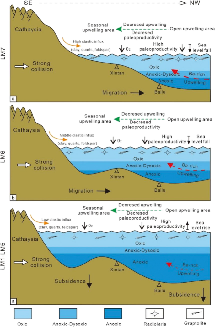 Paleoenvironmental Changes in Organic Matter Deposition in Shales and ...