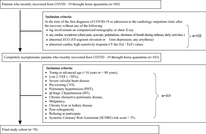 Abnormal left ventricular global strain during exercise-test in young  healthy smokers