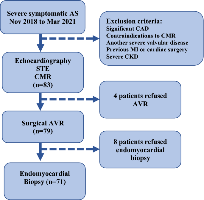 Frontiers  Echocardiographic Global Longitudinal Strain Is Associated With  Myocardial Fibrosis and Predicts Outcomes in Aortic Stenosis