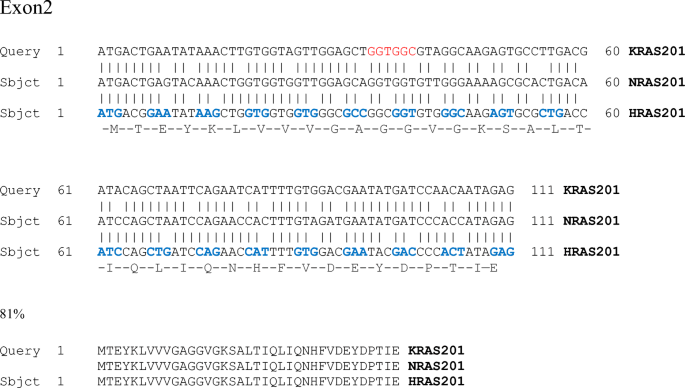 Splice Variants Of Ras Translational Significance Springerlink